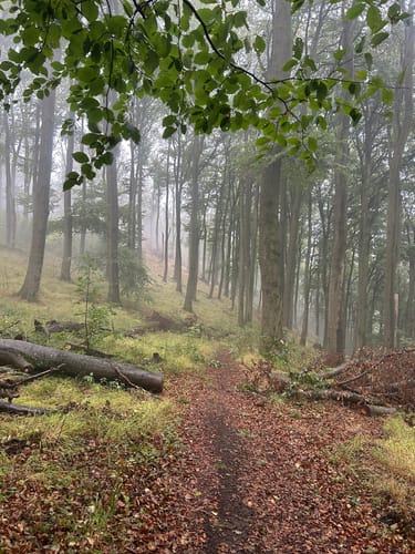 Hirzstein und Teufelsmauer ab Brasselberg