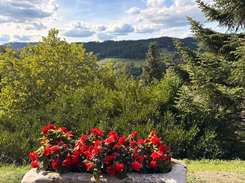 Dollenberg - Dissenhof - Herbstwasen