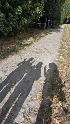 Rundweg um den Laacher See