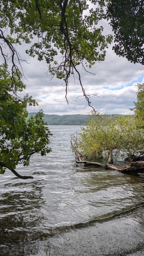 Rundweg um den Laacher See