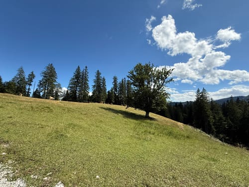 Aueralm und Zwergelberg