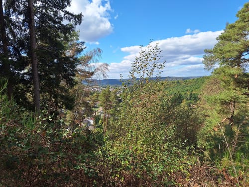 Litermont Sagenweg (Traumschleife)