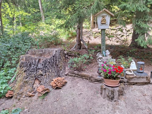 Litermont Sagenweg (Traumschleife)