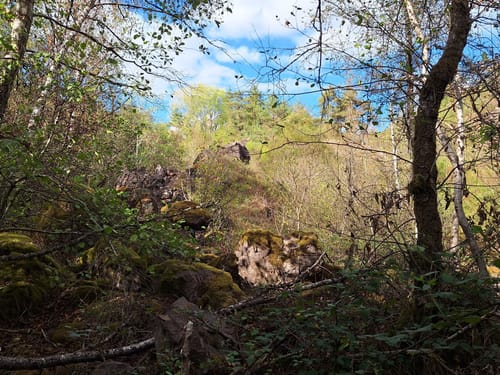 Litermont Sagenweg (Traumschleife)