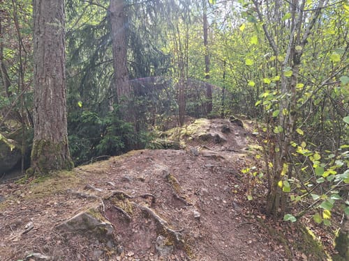 Litermont Sagenweg (Traumschleife)