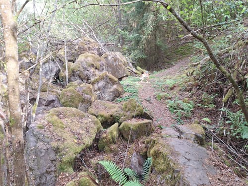 Litermont Sagenweg (Traumschleife)