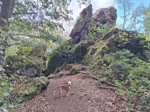 Litermont Sagenweg (Traumschleife)