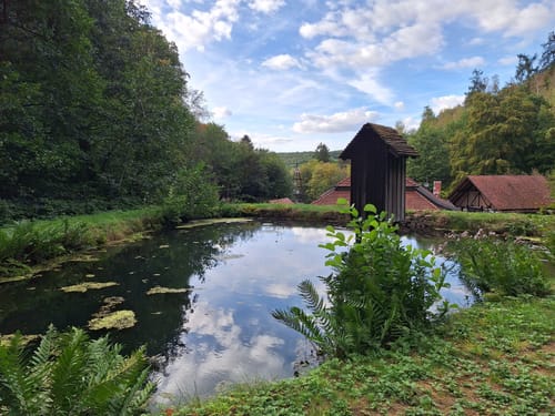 Litermont Sagenweg (Traumschleife)