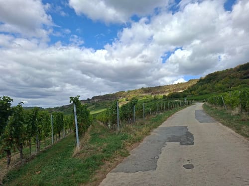 Nittel - Köllig - Rehlingen: Nitteler Felsenwegs