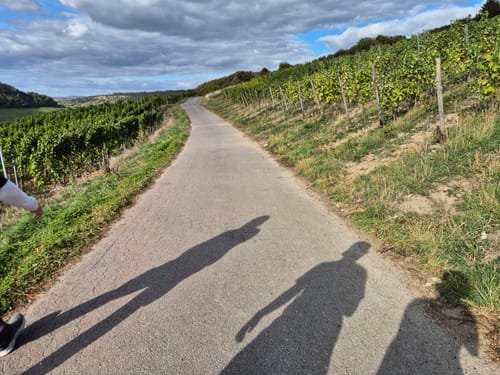 Nittel - Köllig - Rehlingen: Nitteler Felsenwegs