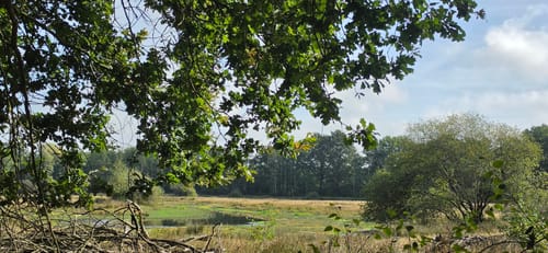 Rondje Witte Veen