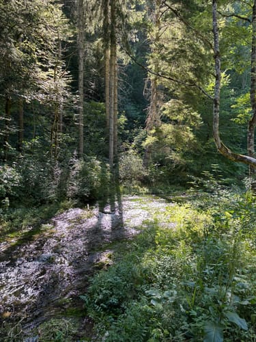 HOCHGEHBERGE I "hochgehpilgert" (Premiumwanderweg)