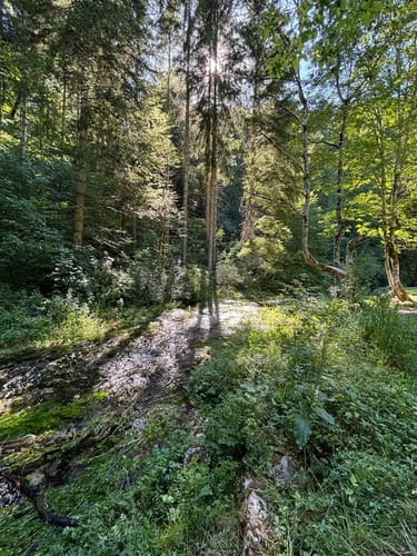 HOCHGEHBERGE I "hochgehpilgert" (Premiumwanderweg)