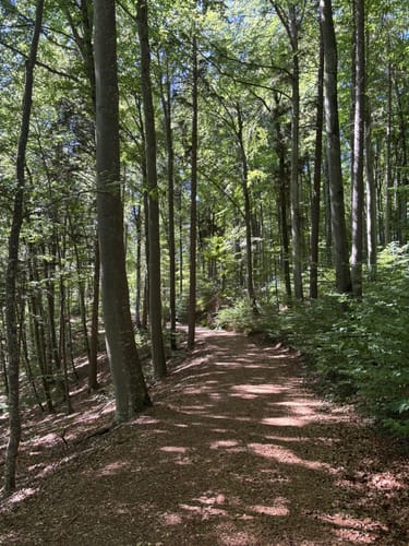HOCHGEHBERGE I "hochgehpilgert" (Premiumwanderweg)