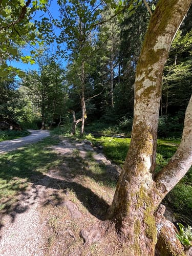 HOCHGEHBERGE I "hochgehpilgert" (Premiumwanderweg)