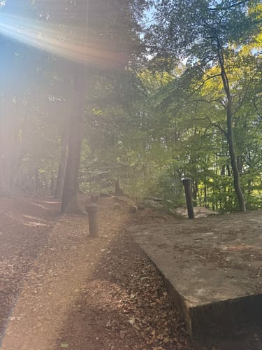 Kirkeler Tafeltour (Premiumwanderweg)