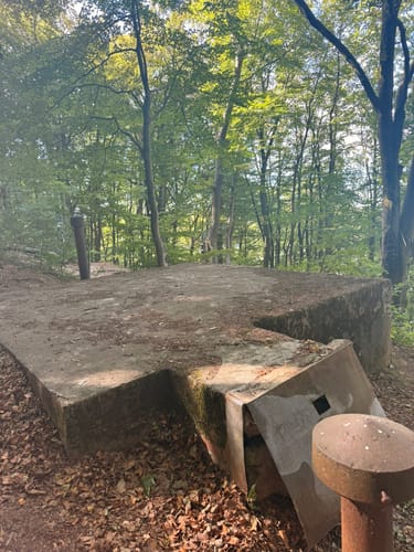 Kirkeler Tafeltour (Premiumwanderweg)