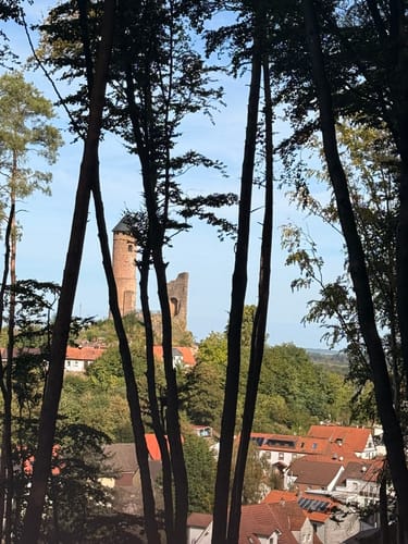 Kirkeler Tafeltour (Premiumwanderweg)