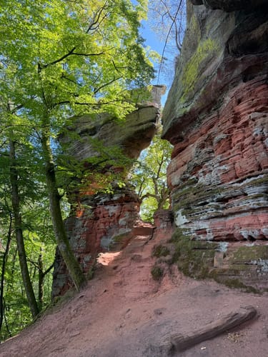 Les Falaises Rouges d'Altschlossfelsen