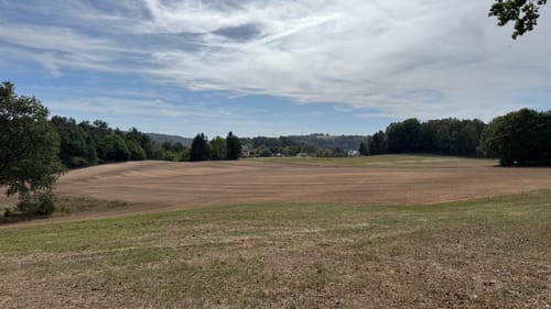 Wald und Wiesen ab Queidersbach