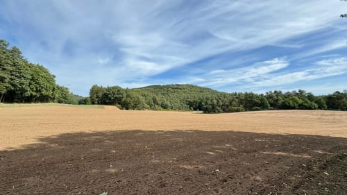 Wald und Wiesen ab Queidersbach