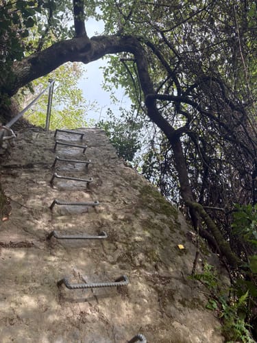 Mittelrhein-Klettersteig (Premiumwanderweg)