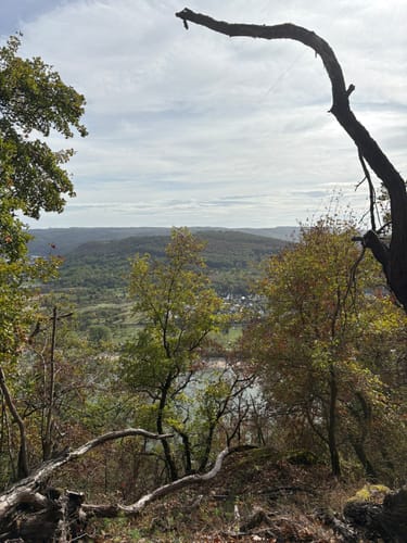 Mittelrhein-Klettersteig (Premiumwanderweg)