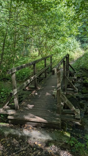 Schwingbogen-Runde (Muggendorfer Rundweg)
