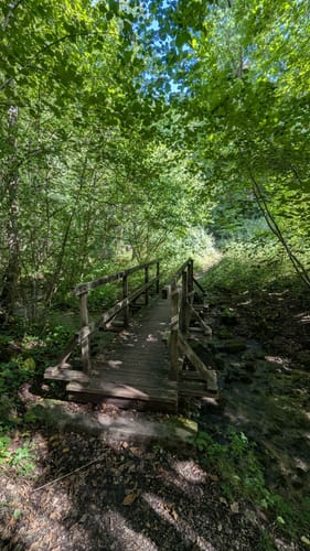 Schwingbogen-Runde (Muggendorfer Rundweg)