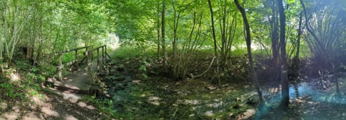 Schwingbogen-Runde (Muggendorfer Rundweg)