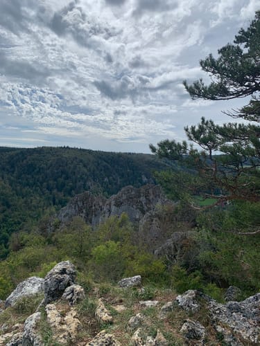 Donautal: Bergsteig - Ziegelhöhle - Ruine Kallenberg