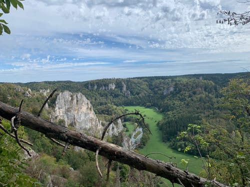 Donautal: Bergsteig - Ziegelhöhle - Ruine Kallenberg