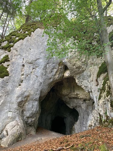 Donautal: Bergsteig - Ziegelhöhle - Ruine Kallenberg