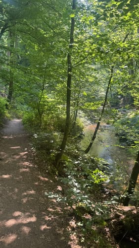 Trippstadt - Burg Wilenstein -Karlstalschlucht