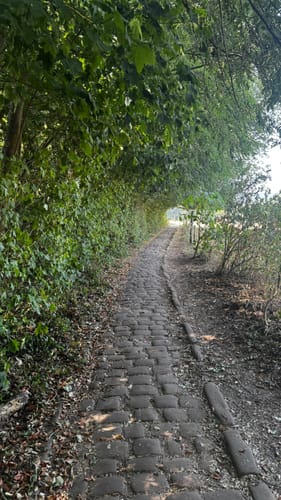 Trippstadt - Burg Wilenstein -Karlstalschlucht