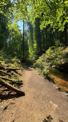 Trippstadt - Burg Wilenstein -Karlstalschlucht