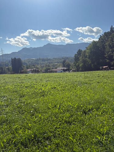 Guglhör-Rundweg