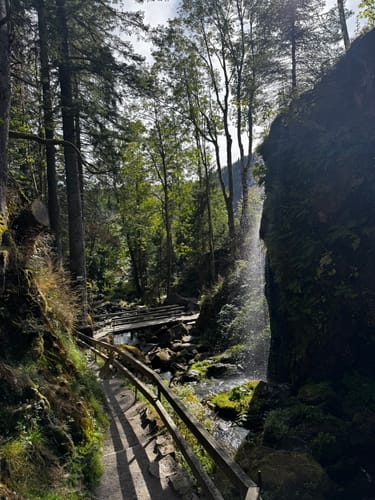 Menzenschwander Geißenpfad (Genießerpfad)