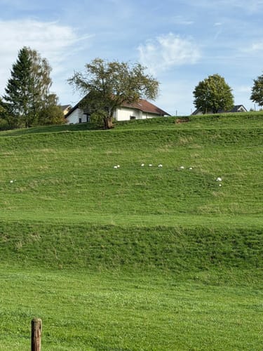 Marmagen EifelSchleife Küchelschelle