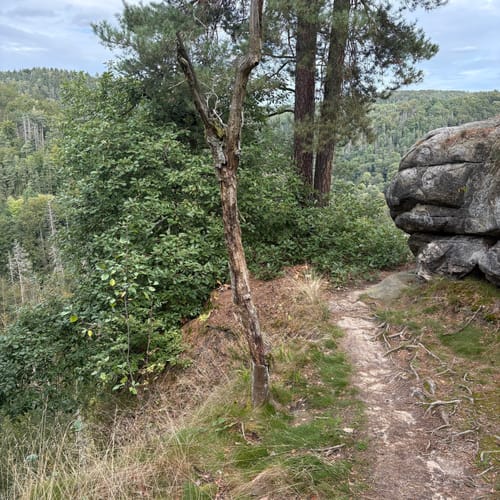 Bastei - Schwedenlöcher -Polenztalweg [CLOSED]