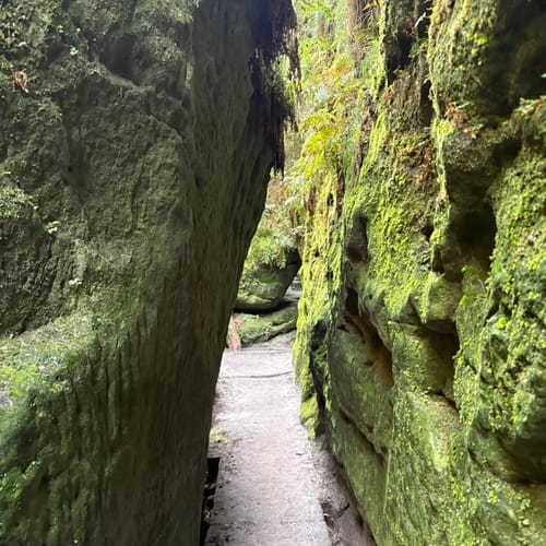 Bastei - Schwedenlöcher -Polenztalweg [CLOSED]