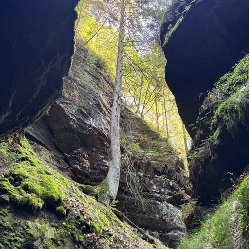Bastei - Schwedenlöcher -Polenztalweg [CLOSED]