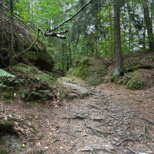 Bastei - Schwedenlöcher -Polenztalweg [CLOSED]