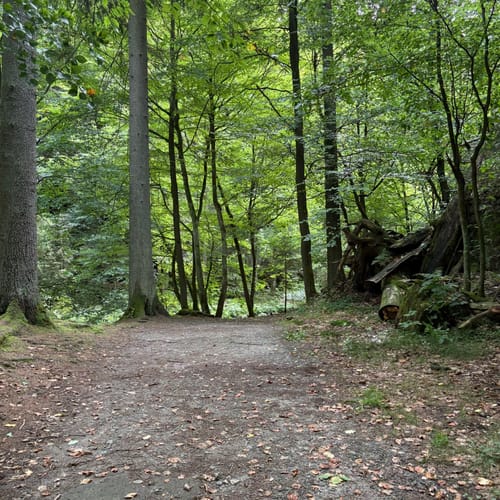 Bastei - Schwedenlöcher -Polenztalweg [CLOSED]