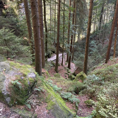 Bastei - Schwedenlöcher -Polenztalweg [CLOSED]