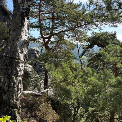 Bastei - Schwedenlöcher -Polenztalweg [CLOSED]