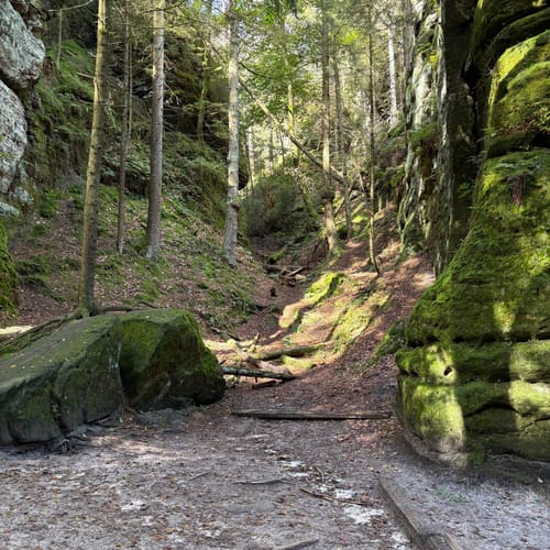 Bastei - Schwedenlöcher -Polenztalweg [CLOSED]