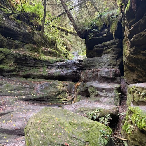 Bastei - Schwedenlöcher -Polenztalweg [CLOSED]