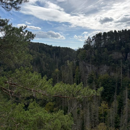 Bastei - Schwedenlöcher -Polenztalweg [CLOSED]