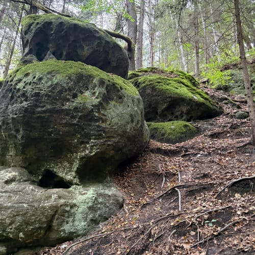 Bastei - Schwedenlöcher -Polenztalweg [CLOSED]